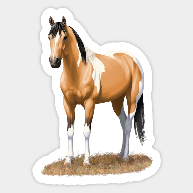 Beautiful Buckskin Pinto Quarter Horse Paint Stallion Sticker by csforest